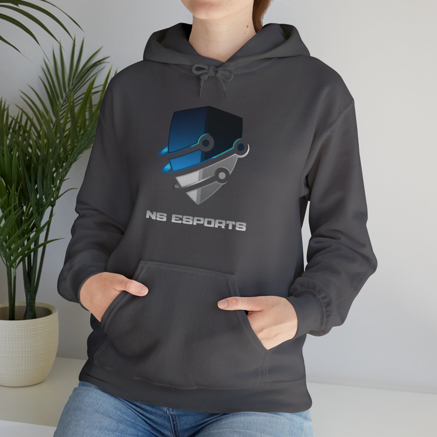 NS Hooded Sweatshirt