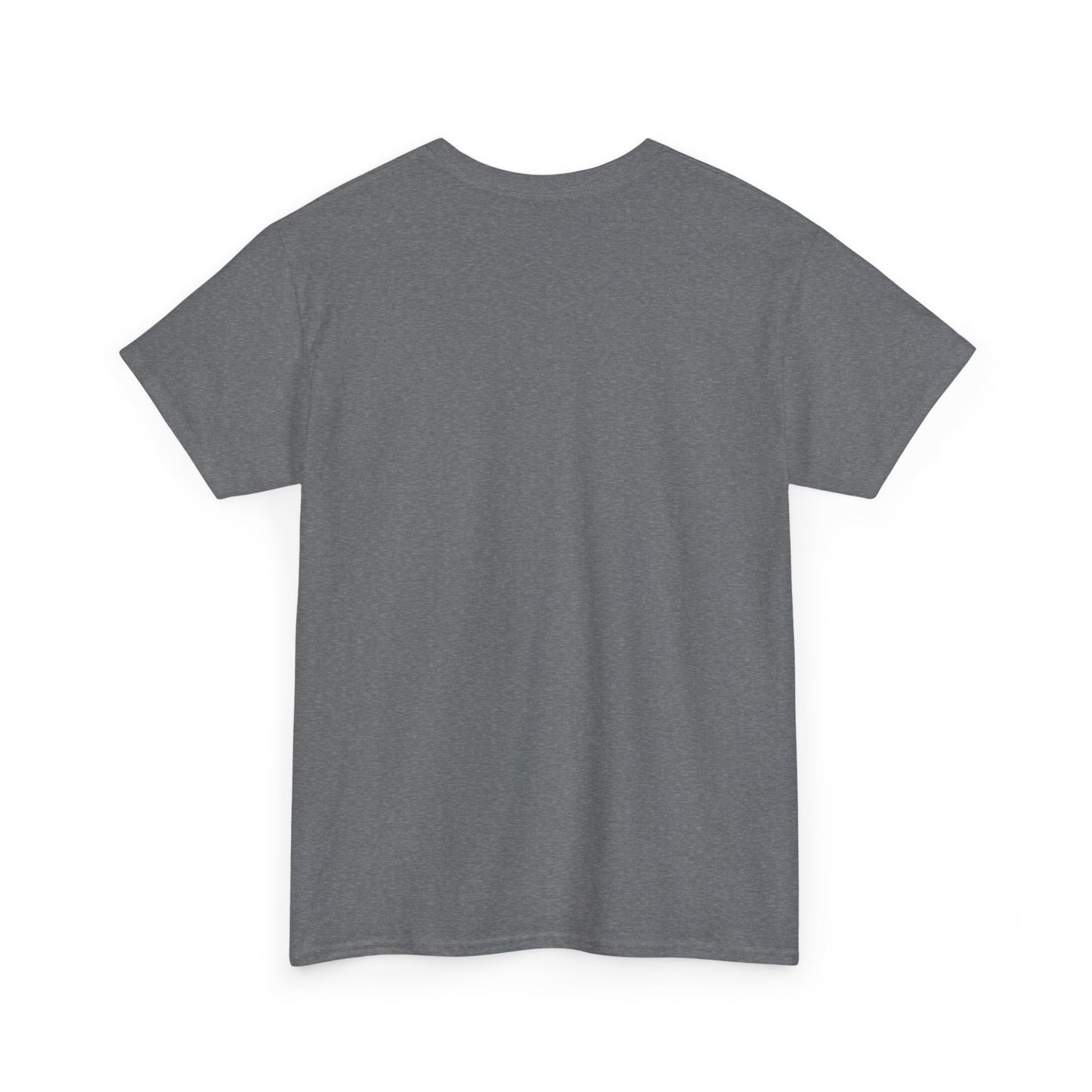 Basic Solar Flare 2024 Unisex Heavy Cotton Tee