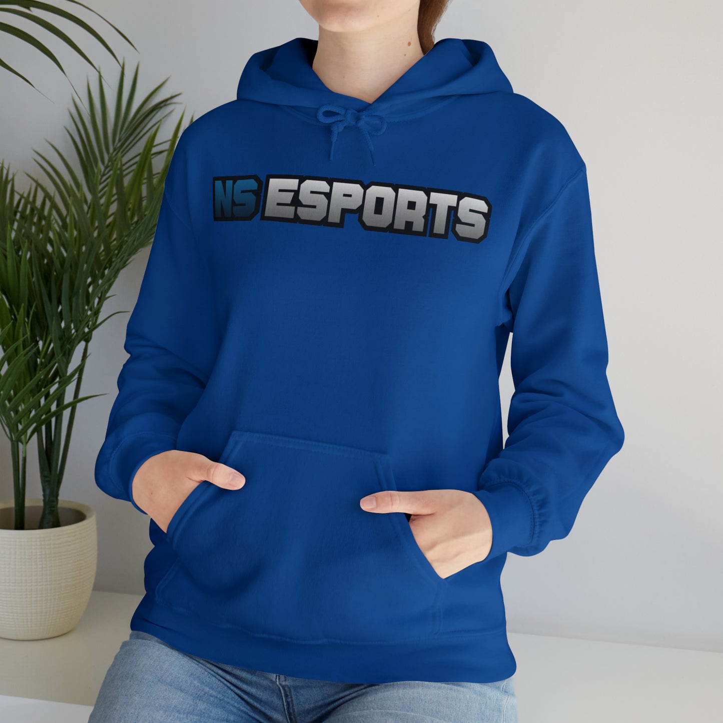 NS Hooded Sweatshirt V2